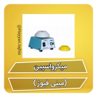 میکرو اسپین