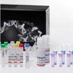 کیت استخراج DNA از خون