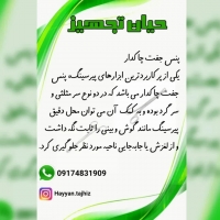 پنس جفت چاکدار