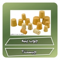 چوب پنبه